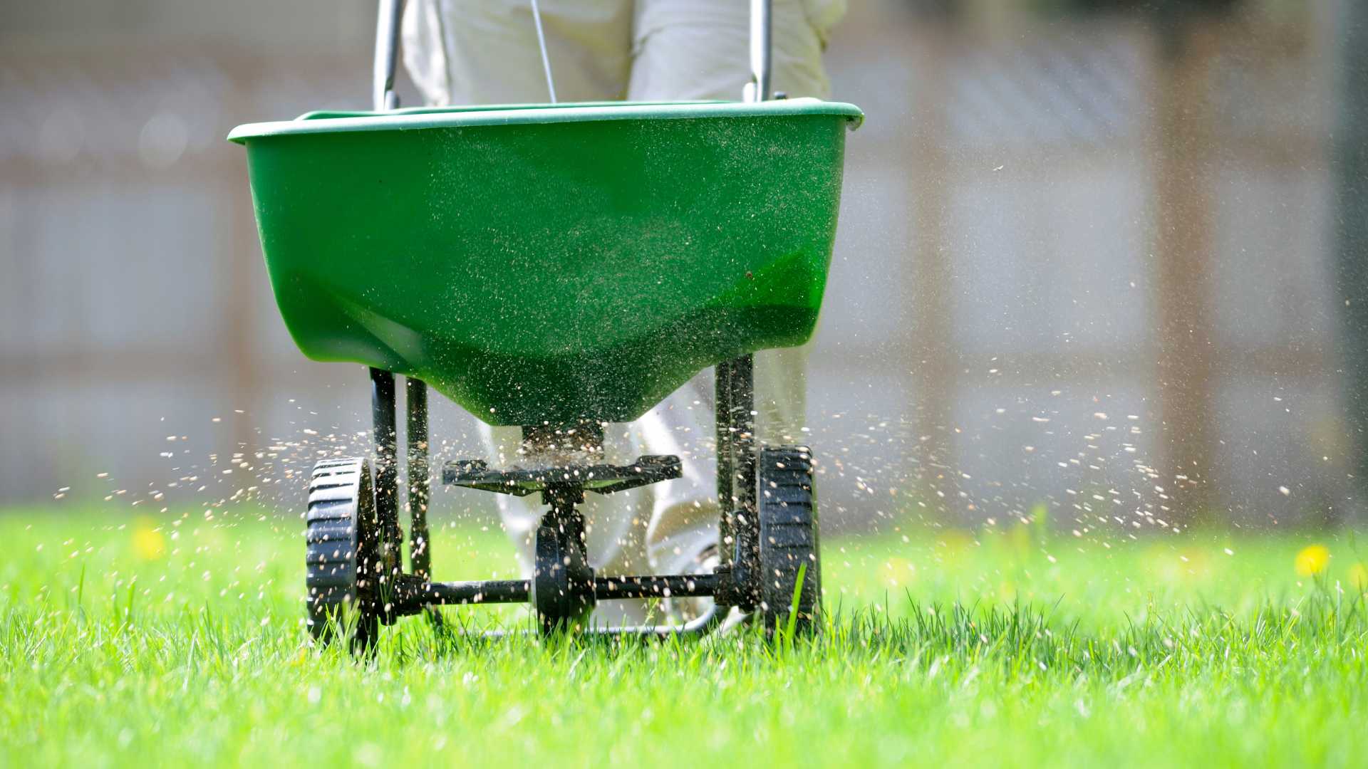 Lawn Care Lists Top Landscaper near me9