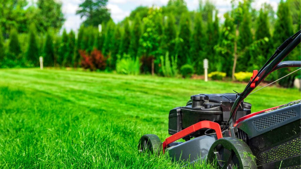 a lawn mower cutting gras in palm bay fl