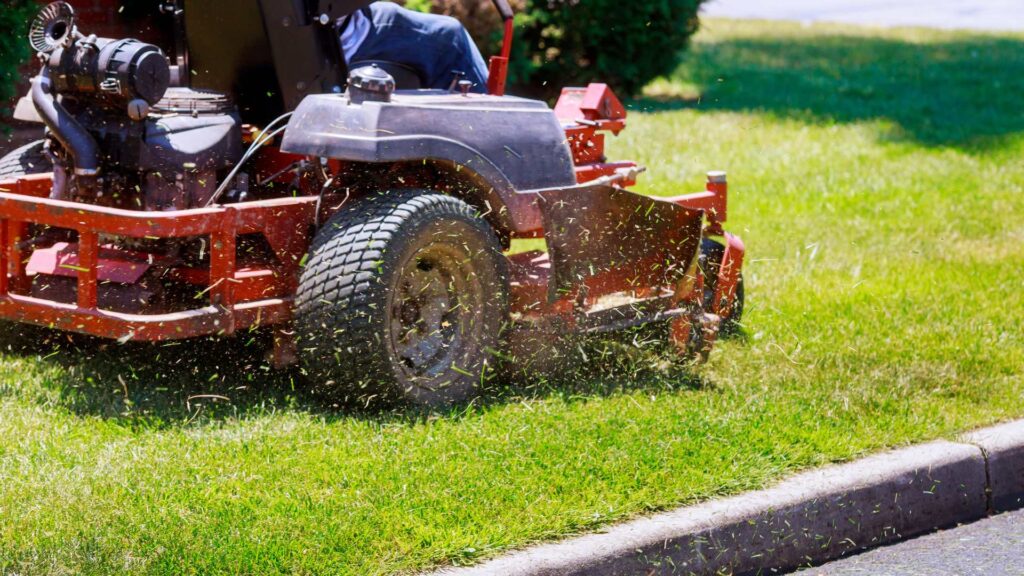 a lawn mower cutting an eco friendly lawn