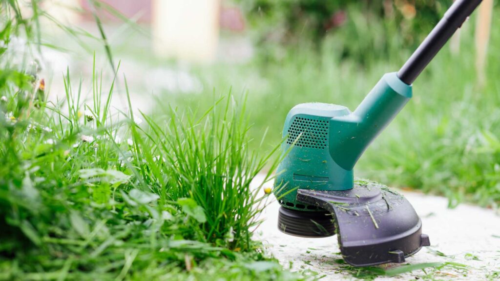 a close up photo of a edger cutting grass and helpwing with weed control