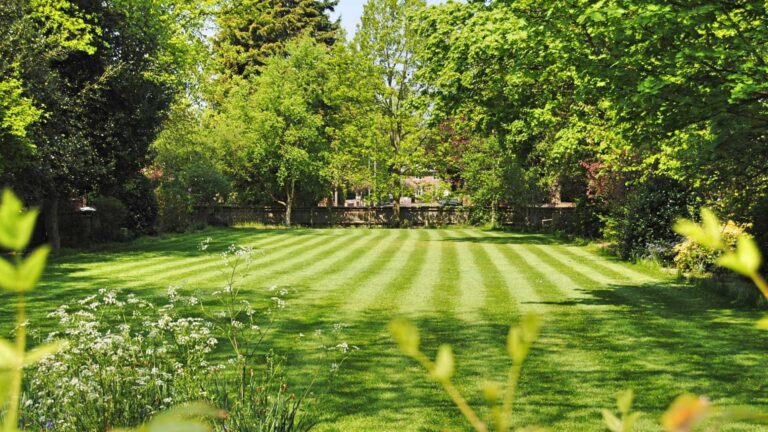 Lawn Care Lists Top Landscaper near me1 768x432